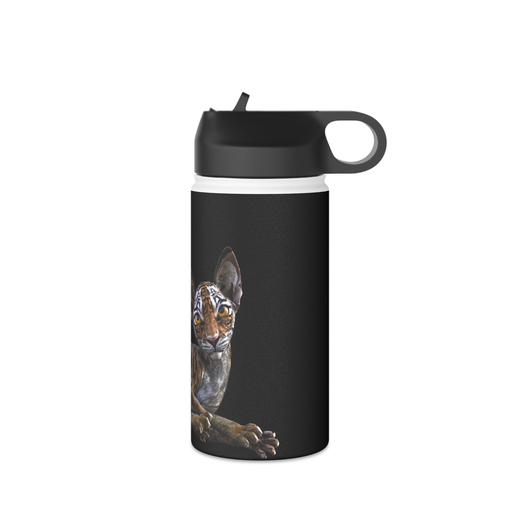 Tiger Sphynx Cat LOOKING AT YOU Stainless Steel Water Bottle