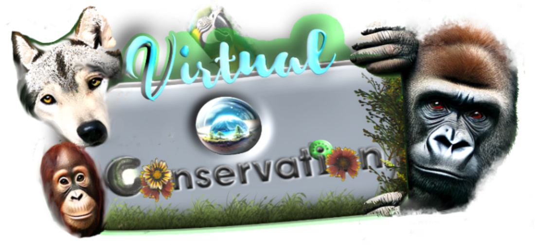 About Virtual Conservation LLC
