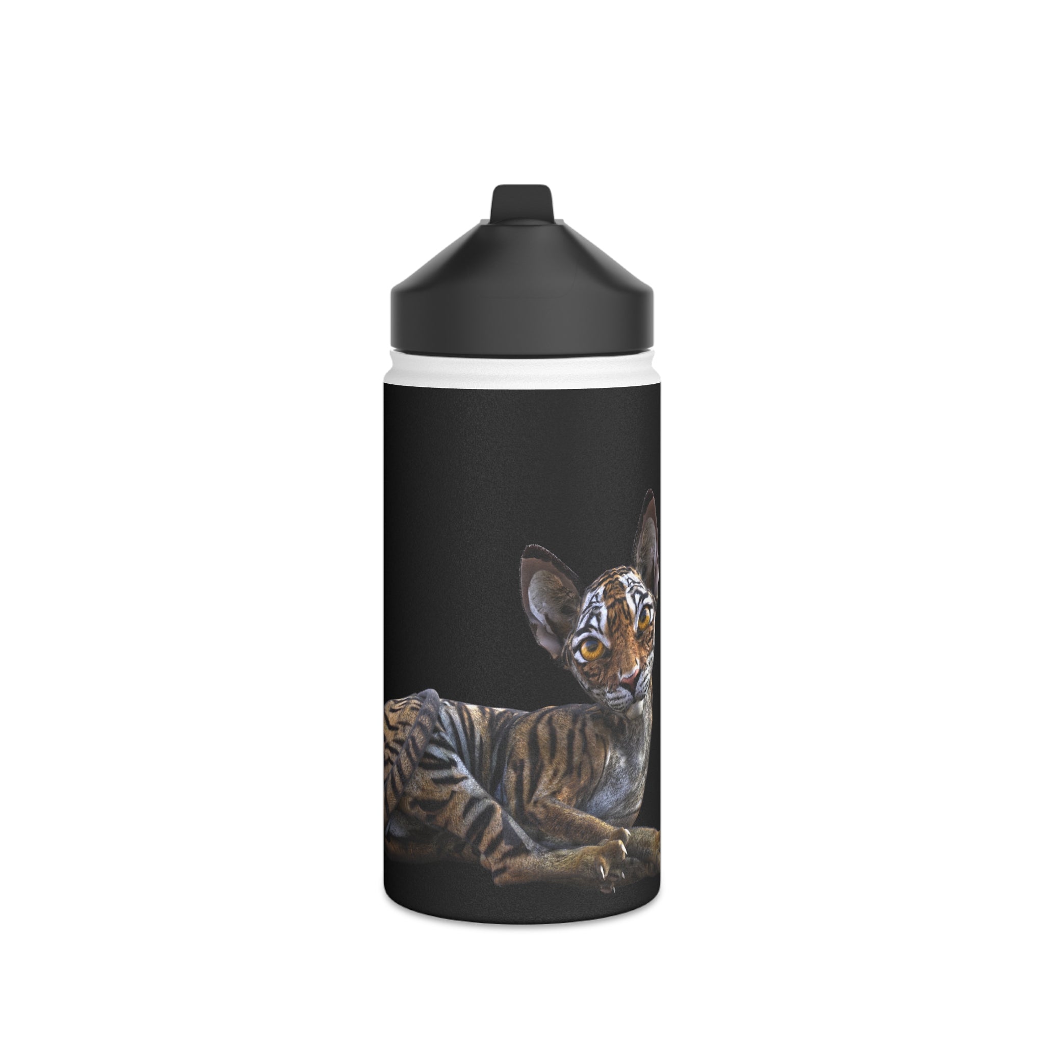Tiger Sphynx Cat LOOKING AT YOU Stainless Steel Water Bottle