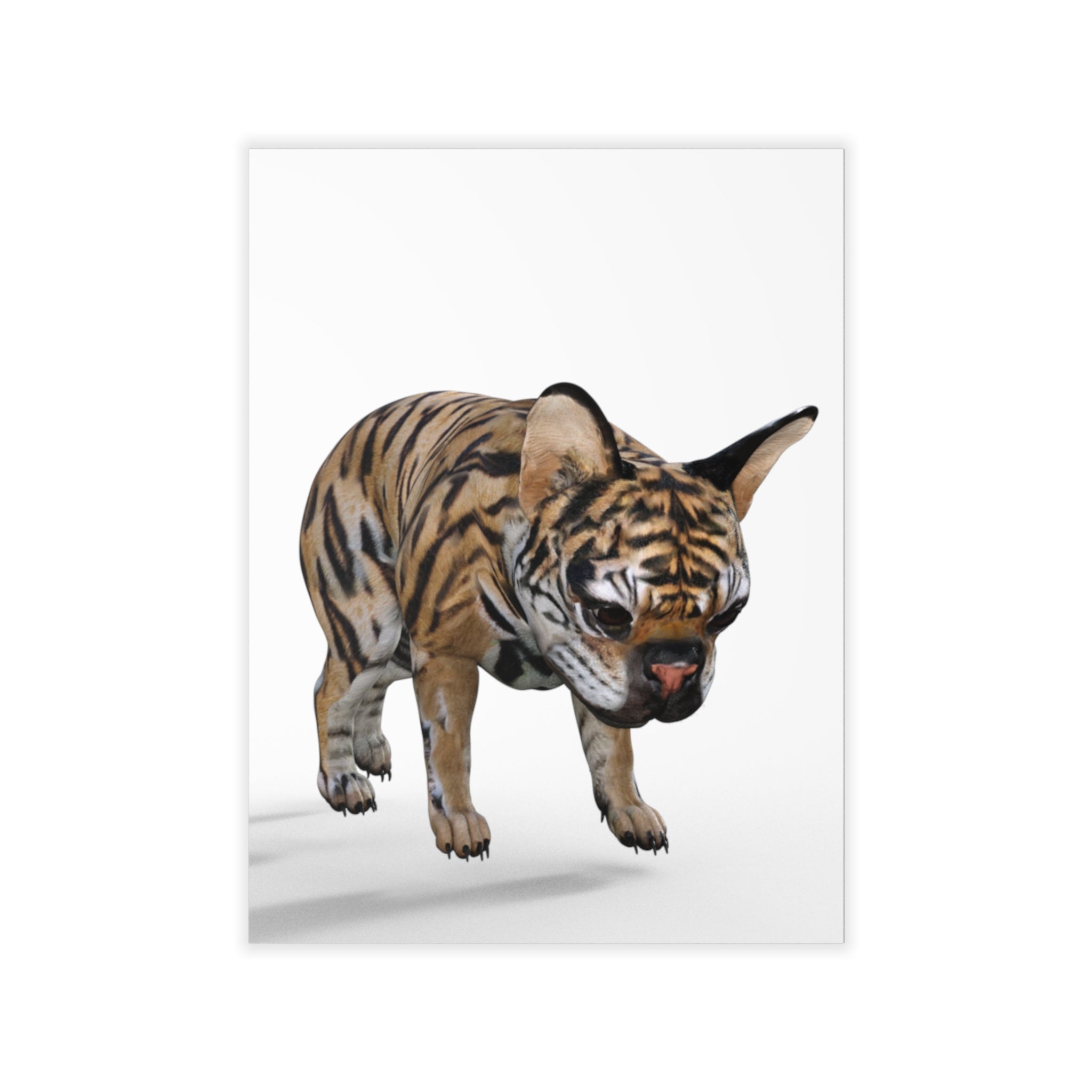 Tiger Frenchie (French Bulldog) NAUGHTY ~ WHITE Wall Decal 18"x24"