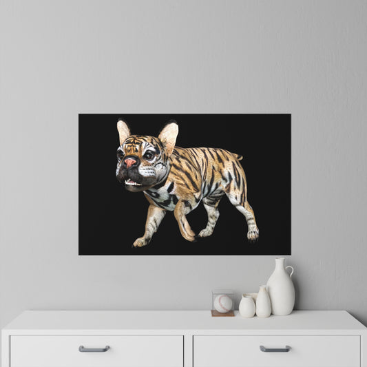Tiger Frenchie (French Bulldog) ~ CUTIE Black Wall Decal 36" x 24"