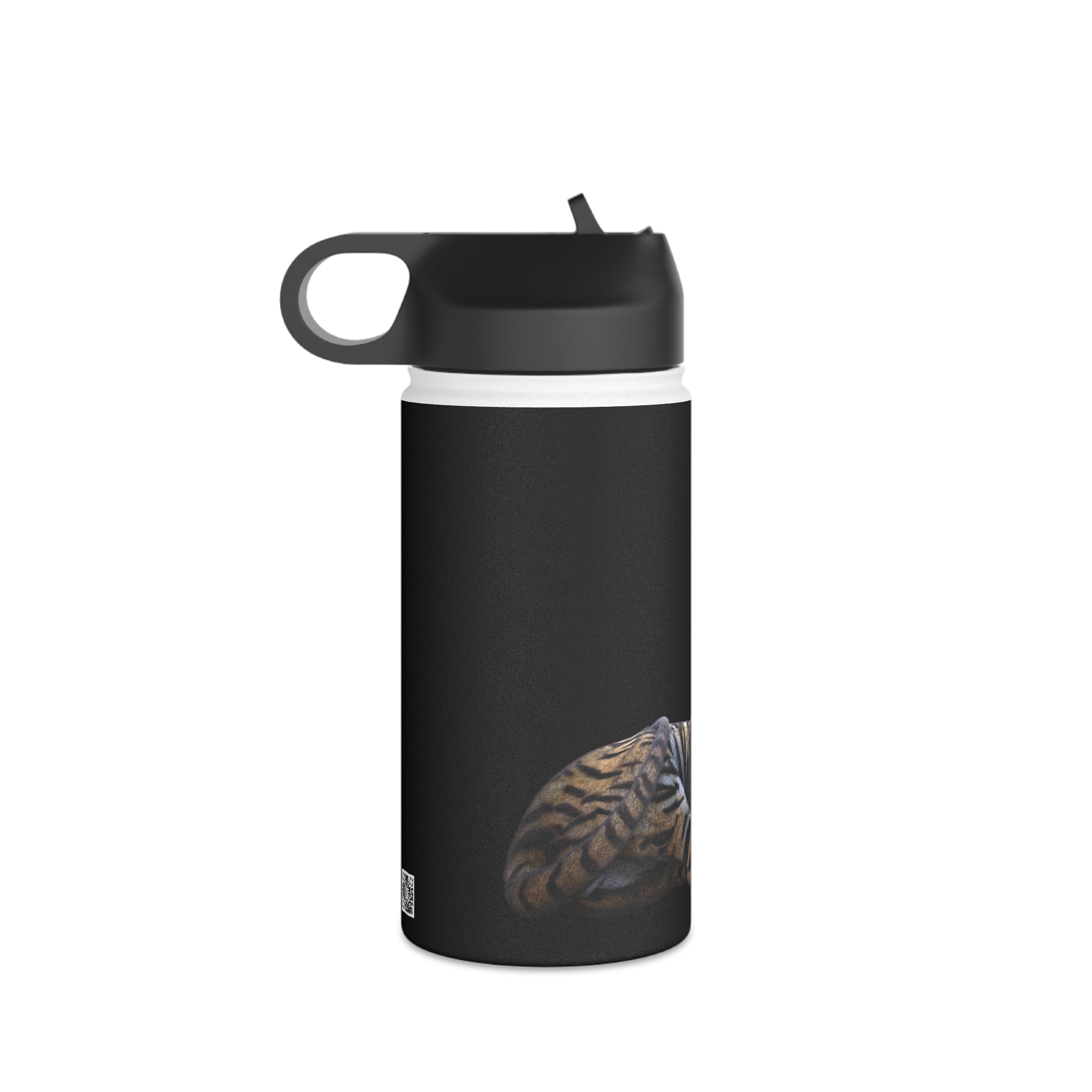 Tiger Sphynx Cat LOOKING AT YOU Stainless Steel Water Bottle