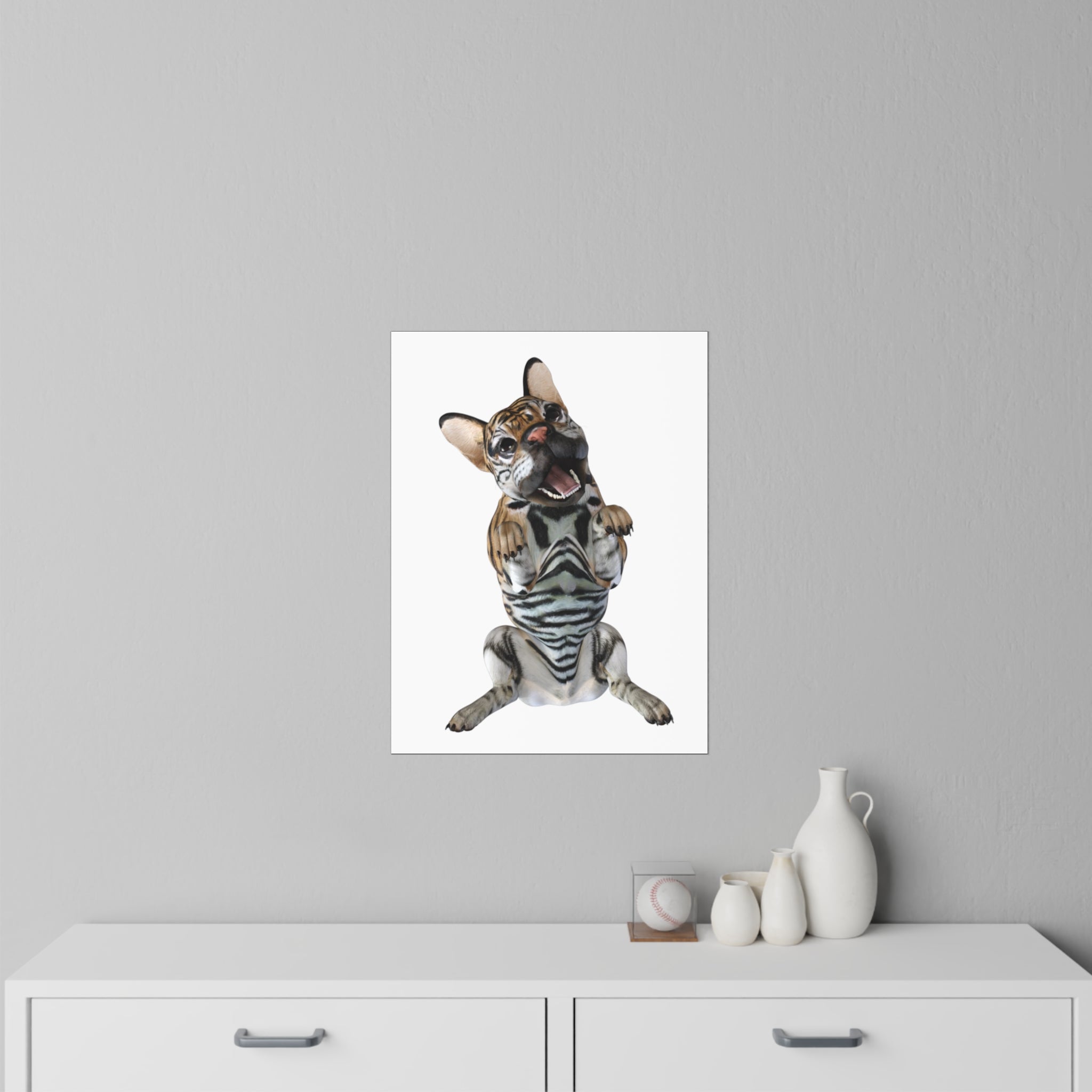 Tiger Frenchie (French Bulldog) BEG ~ WHITE Wall Decal 18" x 24"