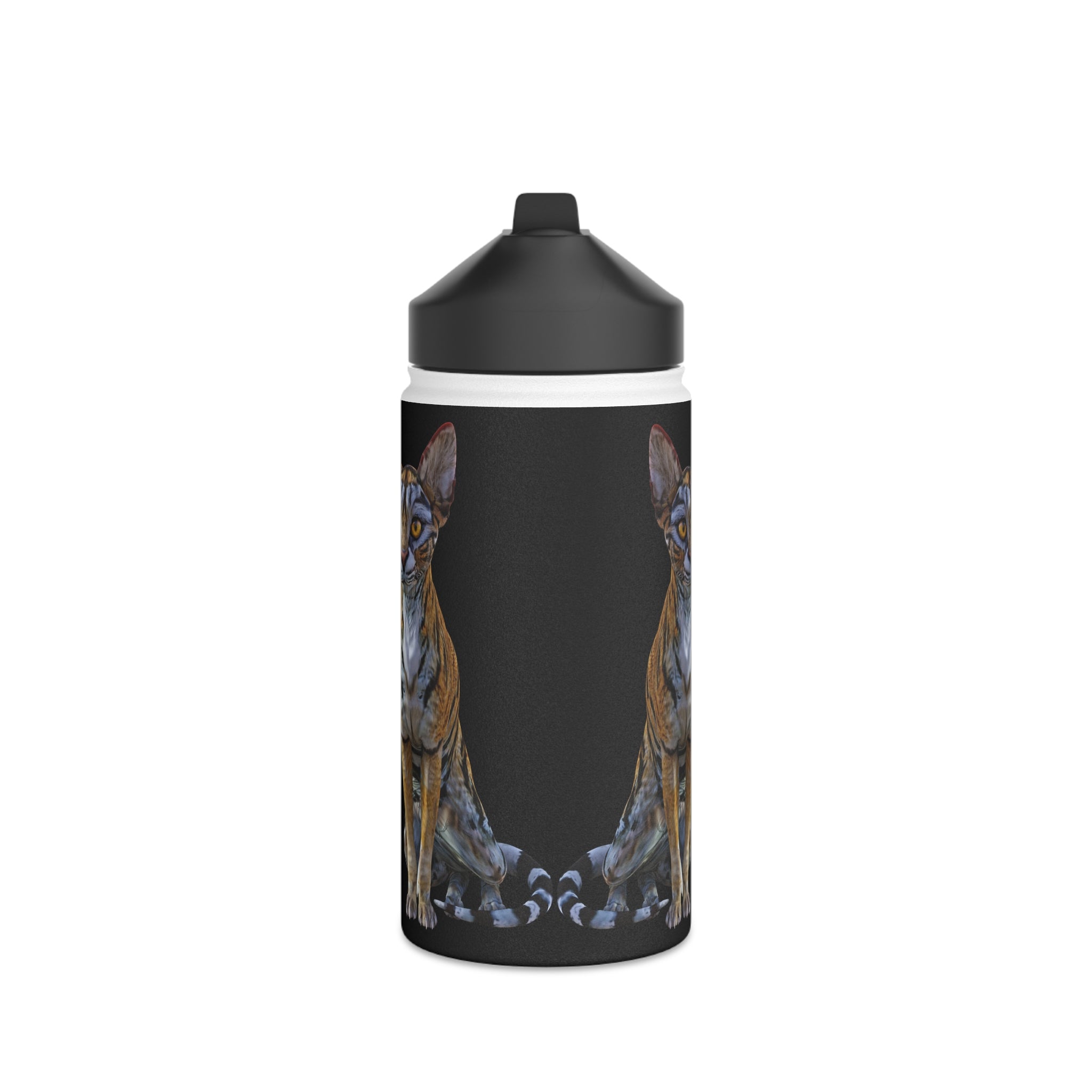 Tiger Sphynx Cat ~ DOUBLE DUTY Stainless Steel Water Bottle, Standard Lid