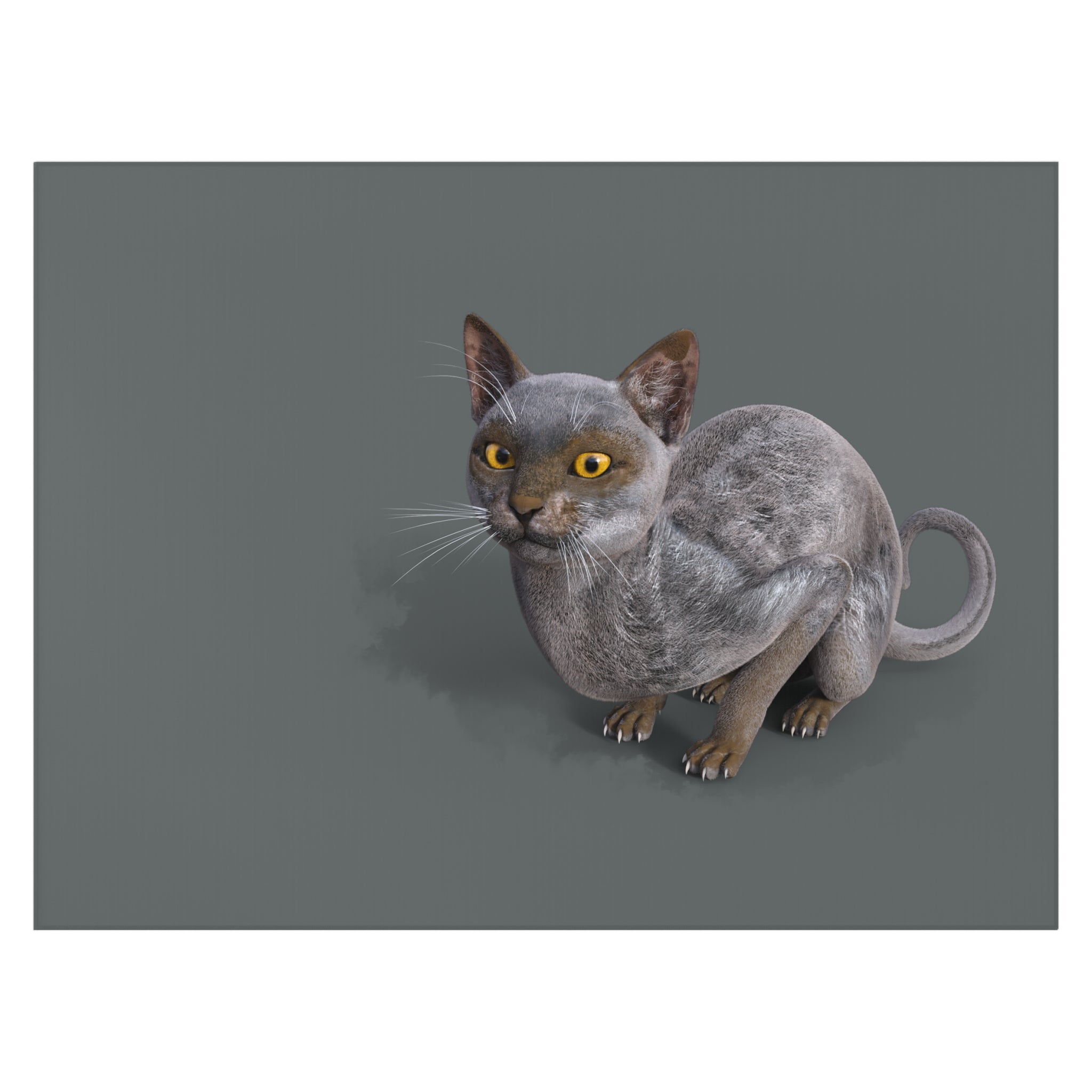 Werewolf Cat LOOKING AT YOU Rug, 63" x 84"