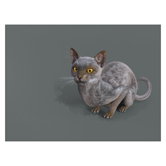 Werewolf Cat LOOKING AT YOU Rug, 63" x 84"