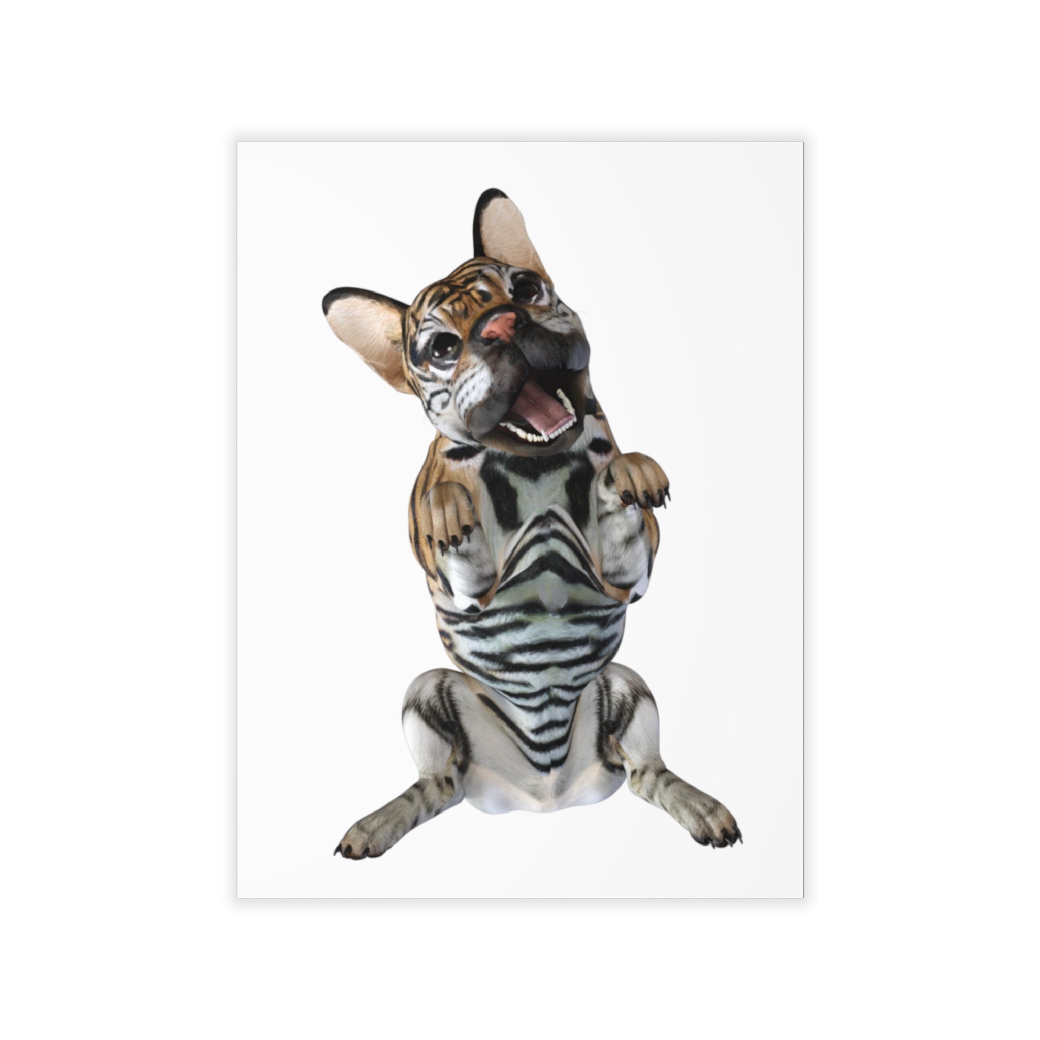 Tiger Frenchie (French Bulldog) BEG ~ WHITE Wall Decal 18" x 24"