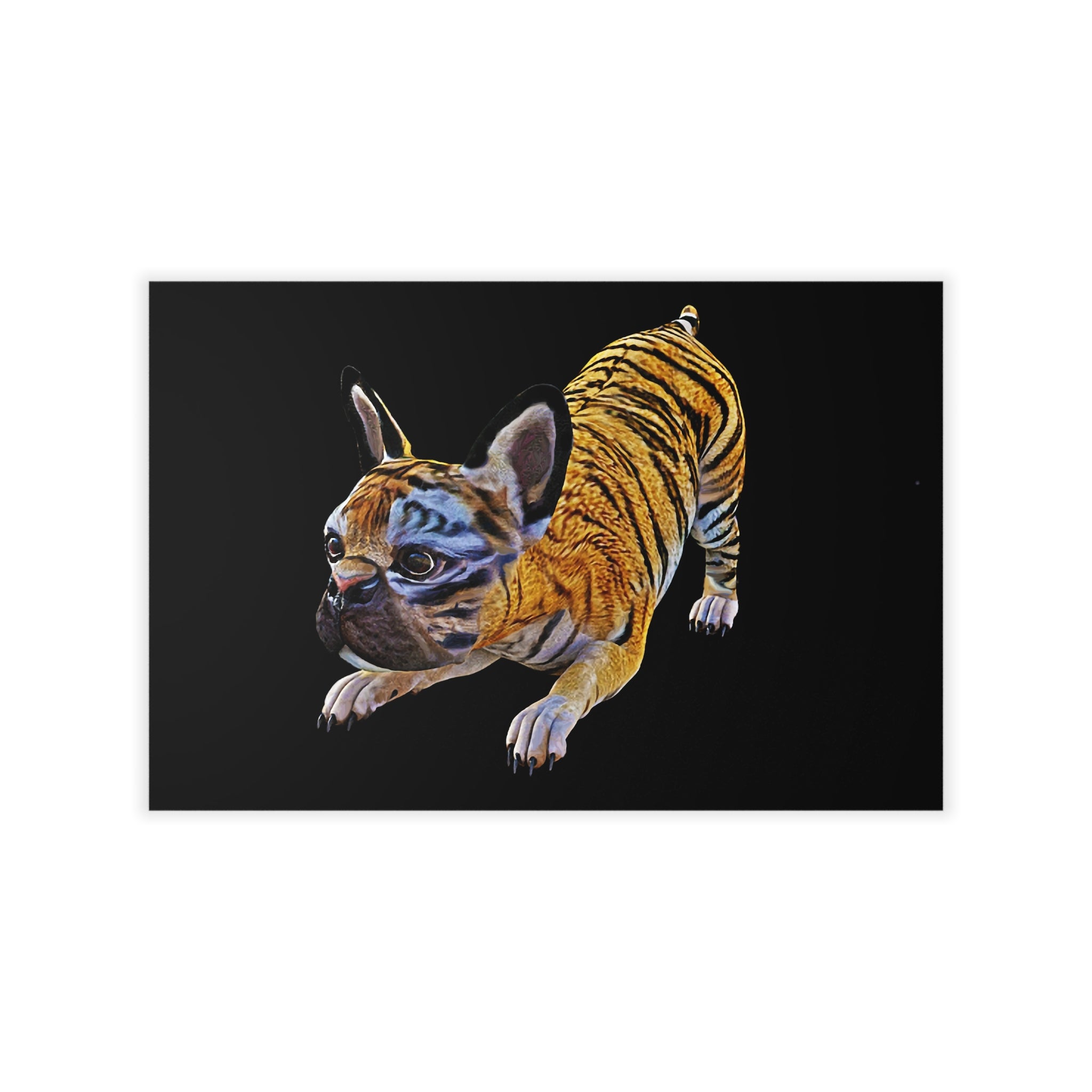 Tiger Frenchie (French Bulldog) AT PLAY ~ BLACK Wall Decal (36" x 24")