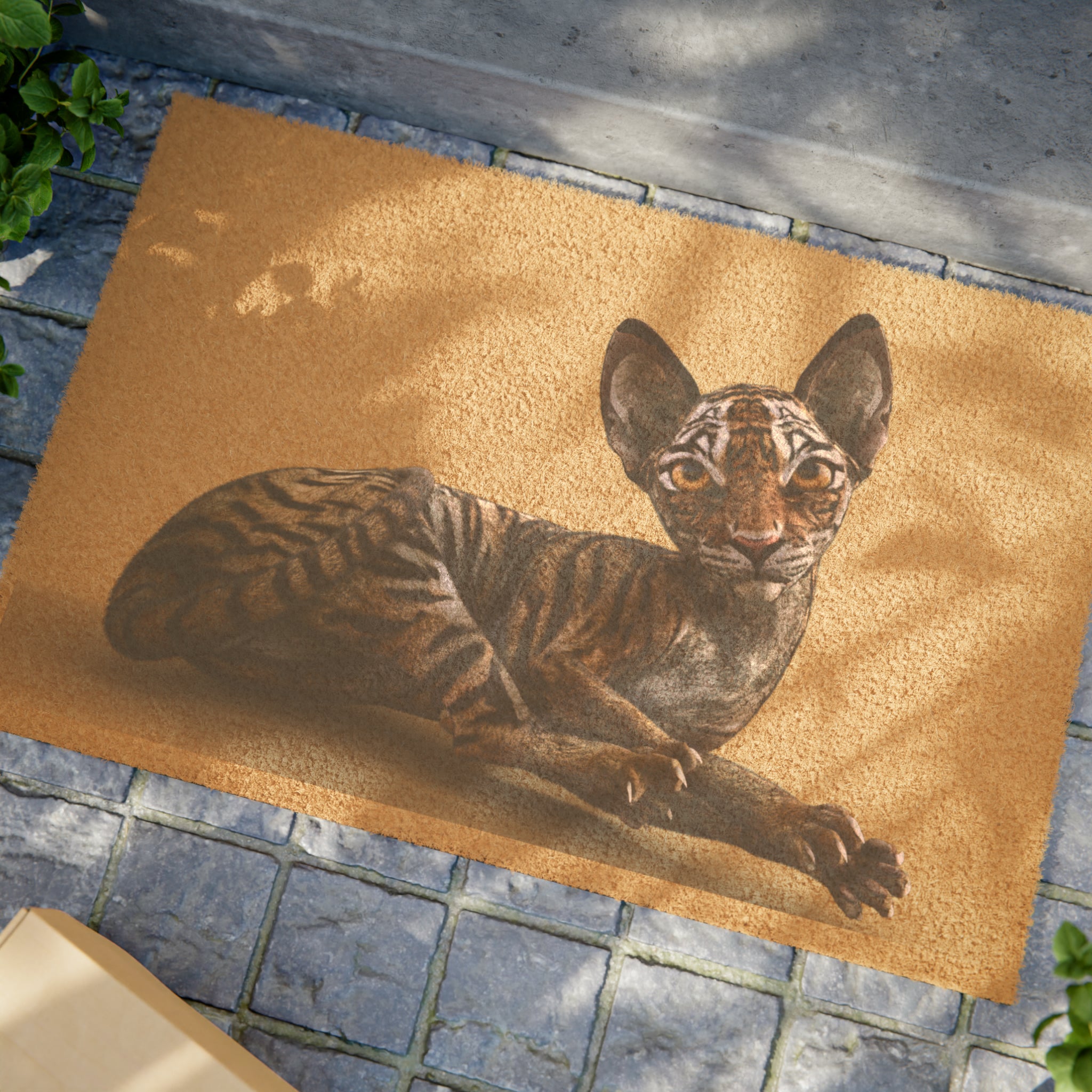 Tiger Sphynx Cat LOOKING AT YOU ~ Doormat