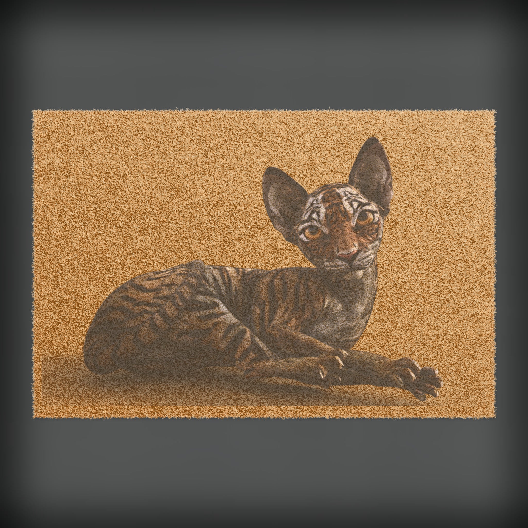 Tiger Sphynx Cat LOOKING AT YOU ~ Doormat
