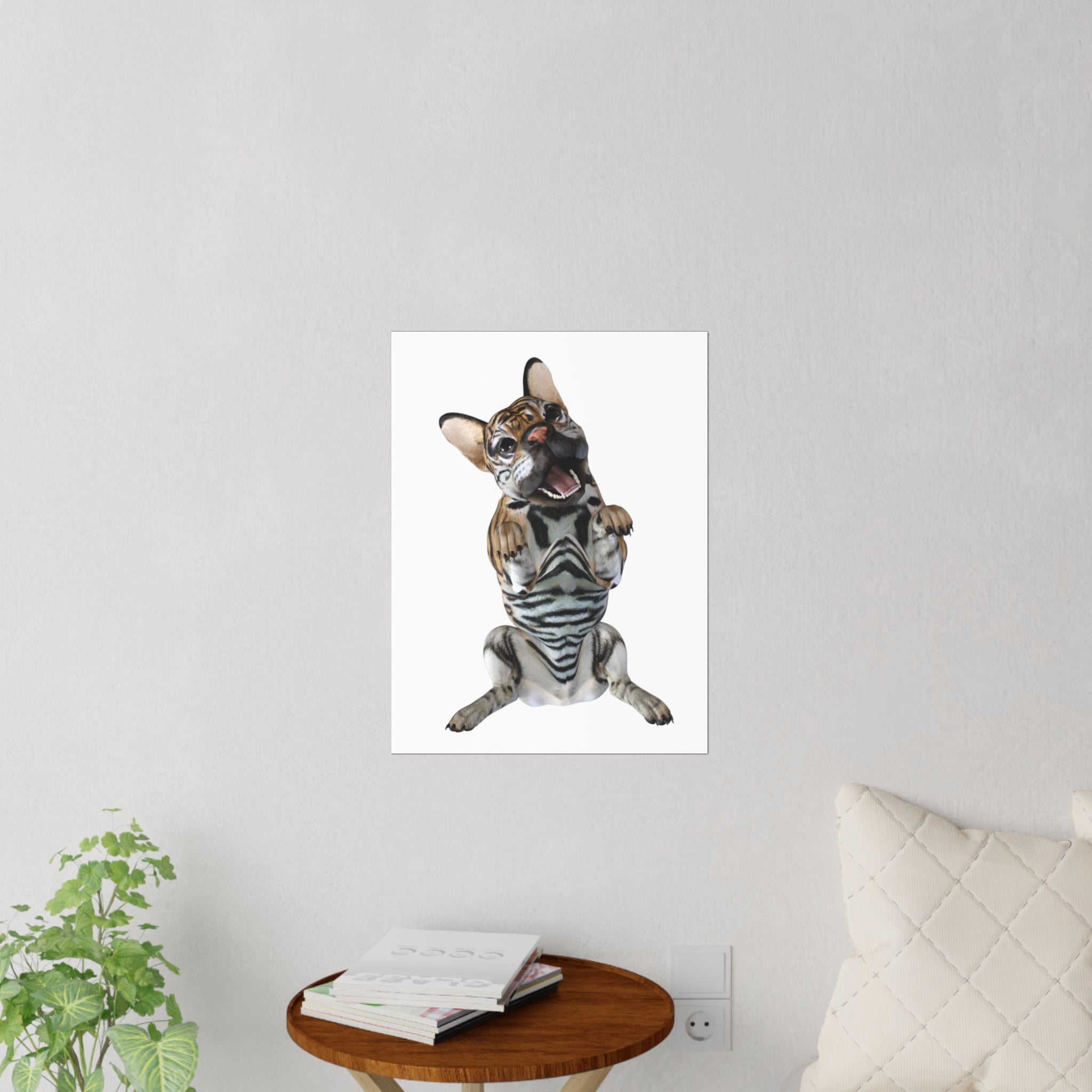 Tiger Frenchie (French Bulldog) BEG ~ WHITE Wall Decal 18" x 24"